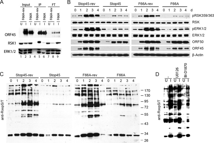 FIG 3