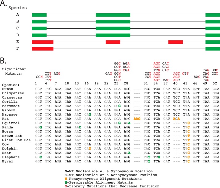 FIGURE 4.