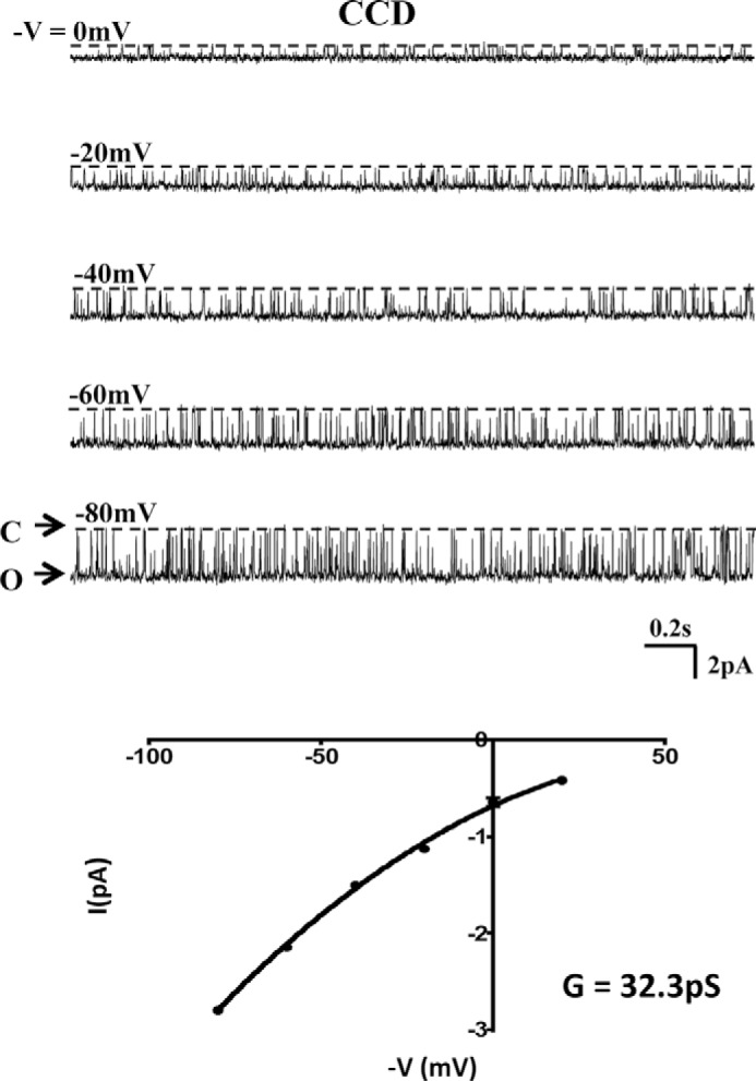 FIGURE 11.