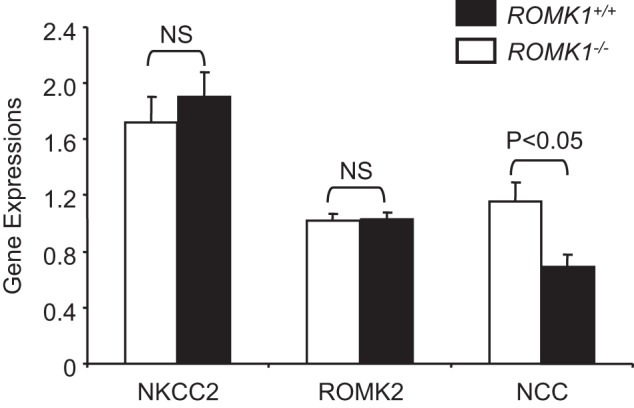 FIGURE 12.