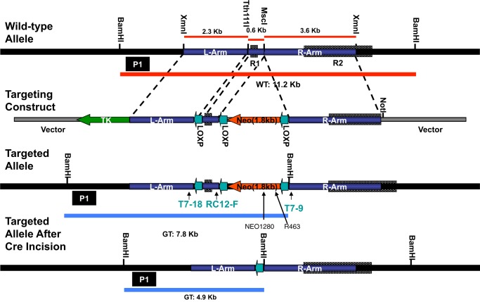 FIGURE 1.