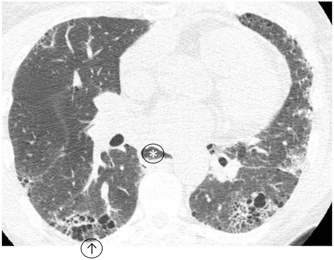 Figure 5: