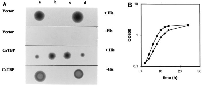 FIG. 5