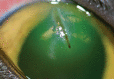 Fig 14.