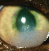 Fig 2.