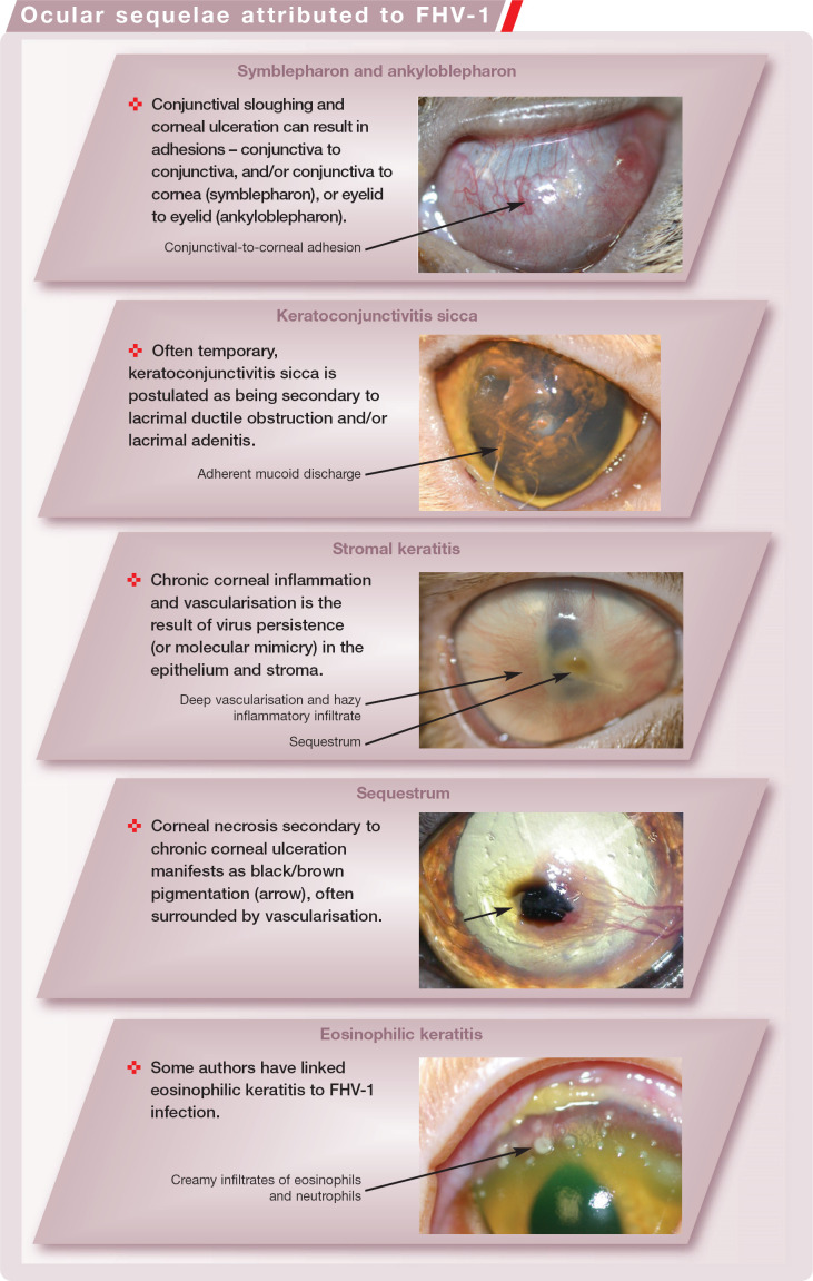 graphic file with name 10.1016_j.jfms.2009.12.004-fig23.jpg