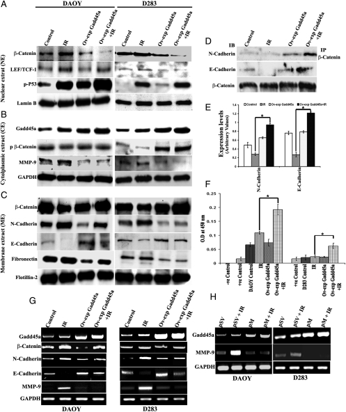 Fig. 3.