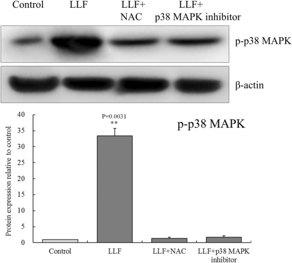 Fig. 10