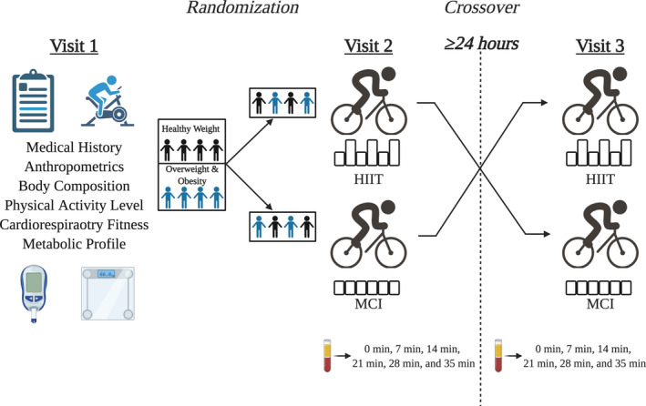 FIGURE 2