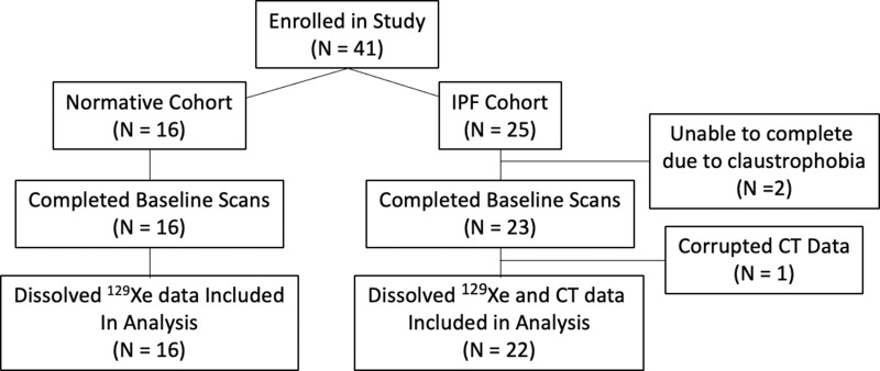 Hyperpolarized Xe Mr Spectroscopy In The Lung Shows Year Reduced