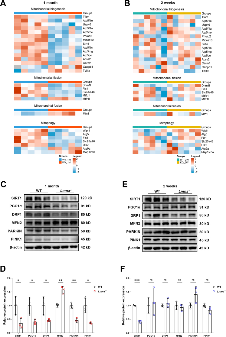 Figure 4