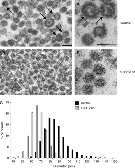 Figure 9