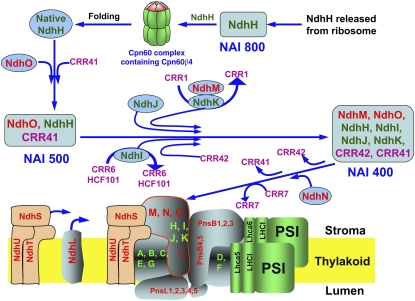 Figure 6.