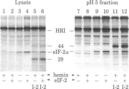 graphic file with name pnas00462-0020-a.jpg