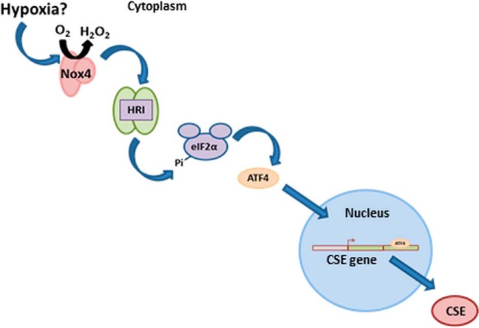 FIGURE 7.