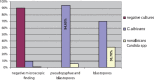 GRAPH 4