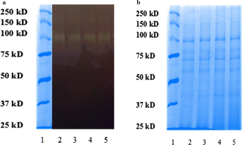 Fig. 3