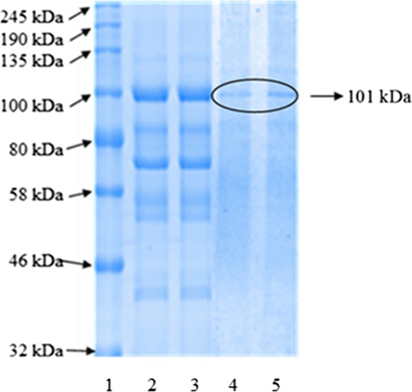 Fig. 4