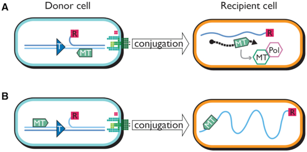 Figure 7.