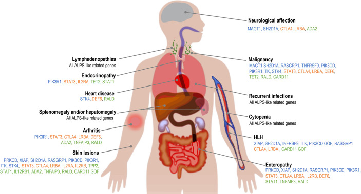 Figure 2