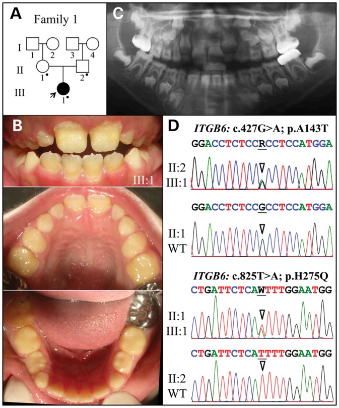 Figure 1.