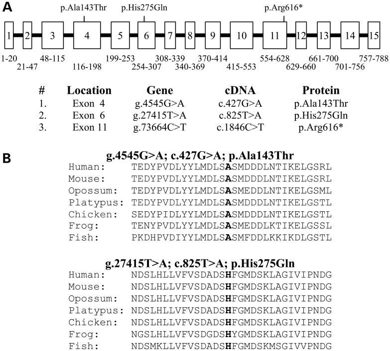 Figure 2.