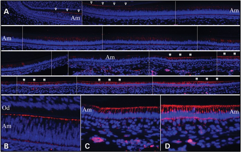 Figure 4.