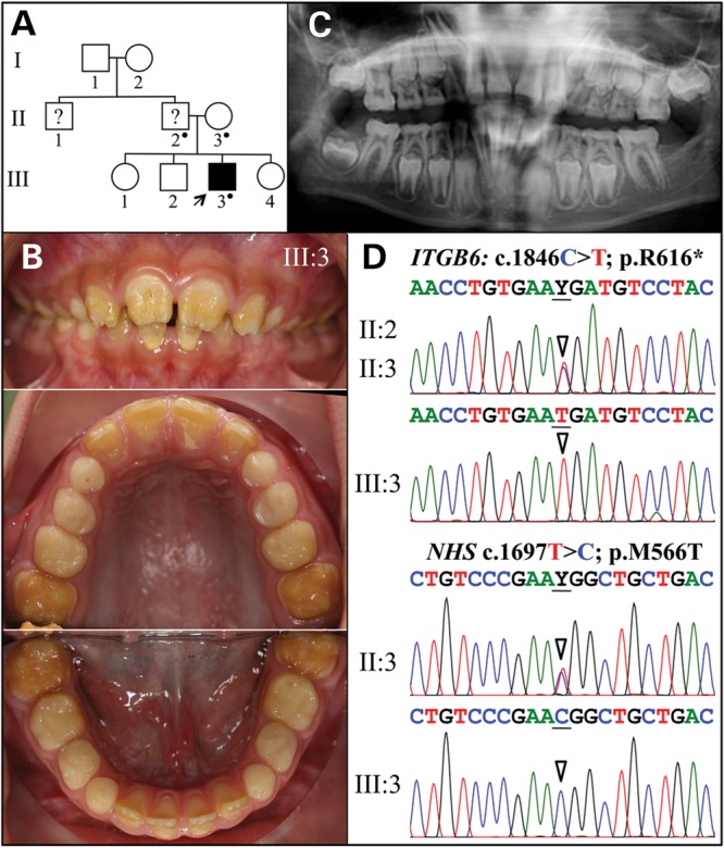 Figure 3.