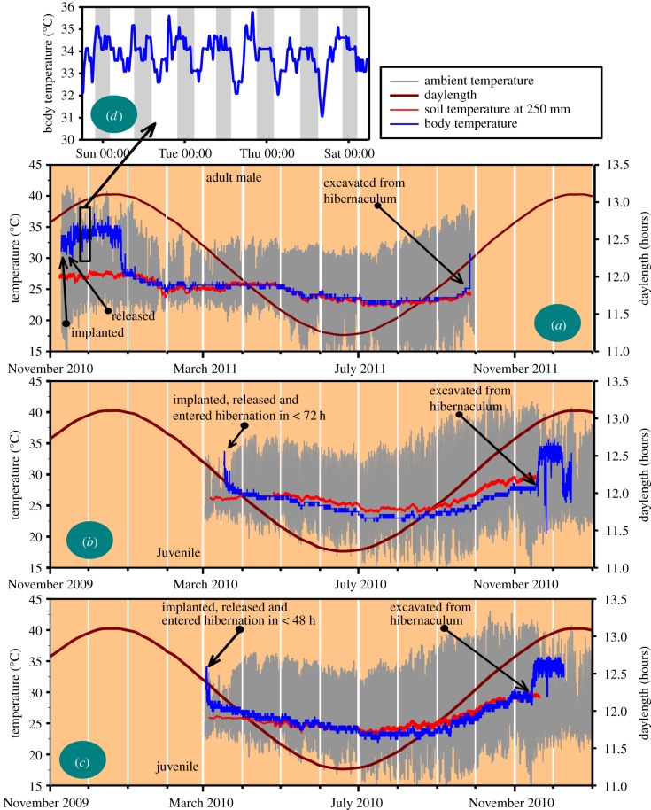 Figure 2.