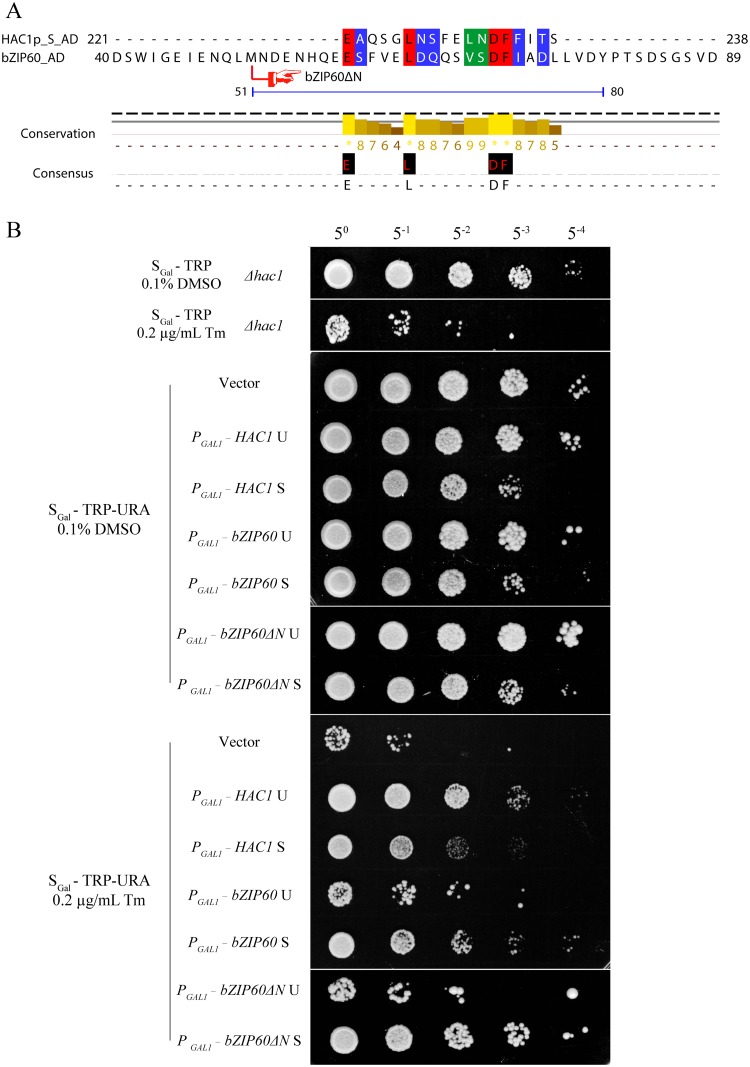 Fig 10