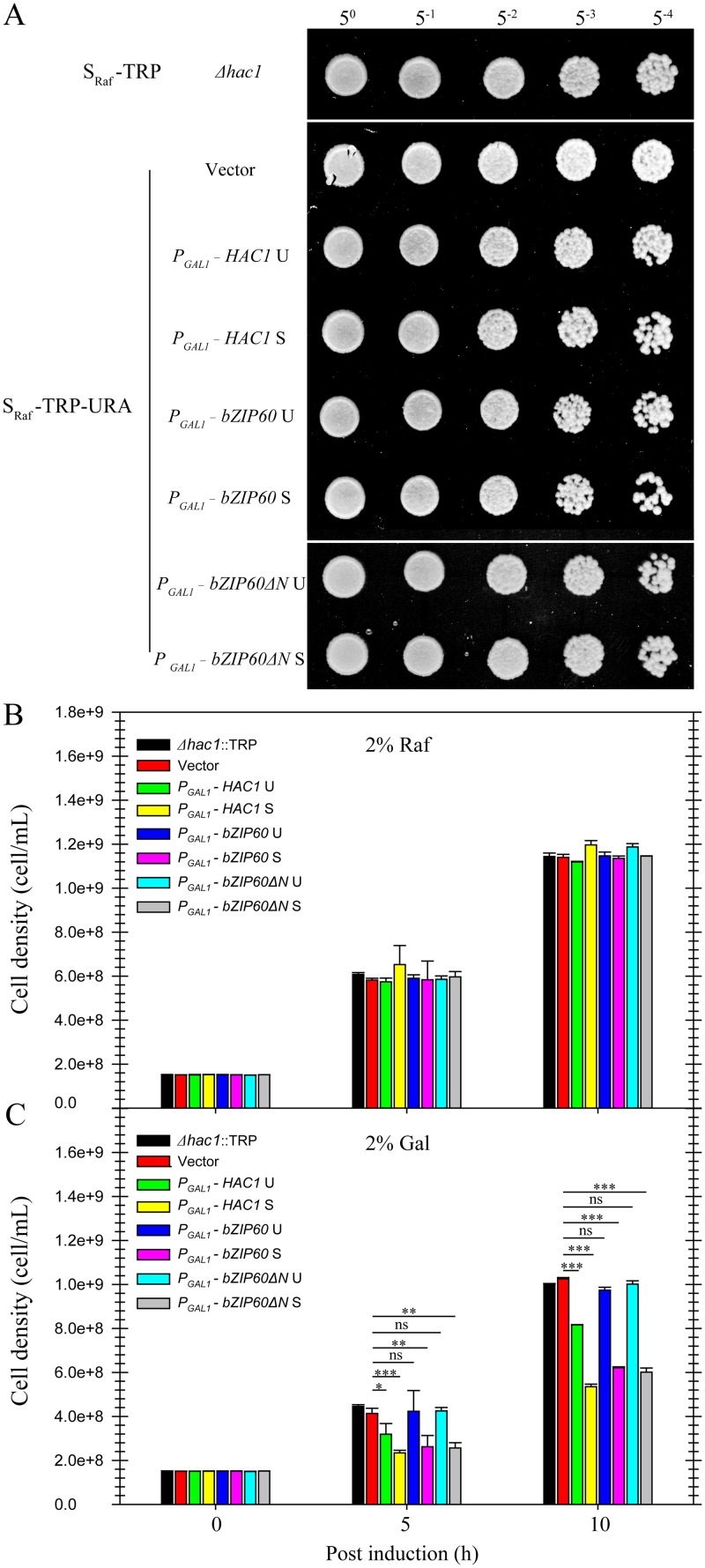 Fig 11