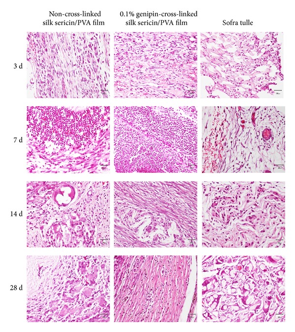 Figure 10