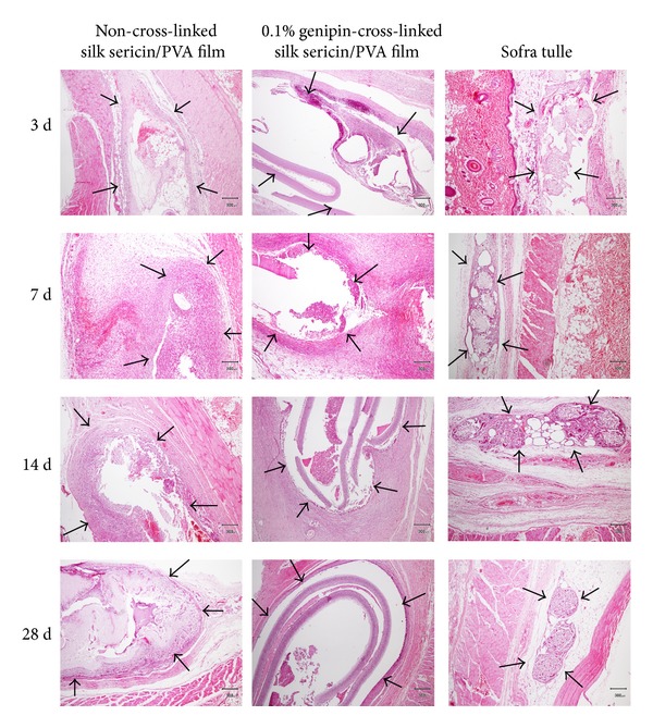 Figure 9