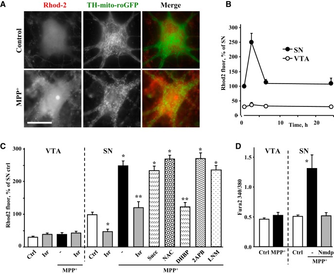 Figure 4.