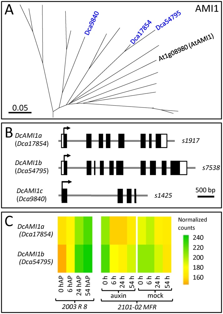 Fig 4