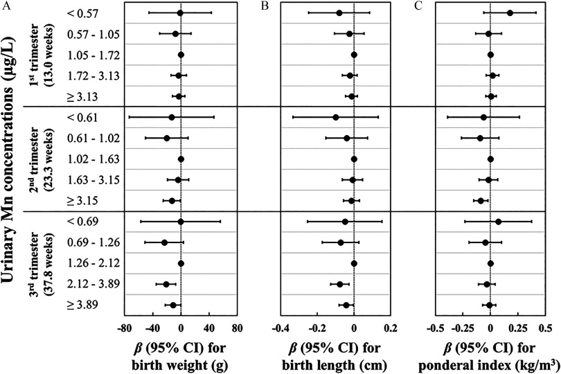 Figures 1A, 1B, and 1C are forest plots showing regression coefficients (95 percent confidence intervals) for birth weight (grams), birth length (centimeters), and ponderal index (kilograms per cubic meter), respectively, for adjusted associations of SG-adjusted urinary Mn concentrations (micrograms per liter) in the first (13.0 weeks), second (23.3 weeks), and third (37.8 weeks) trimester.