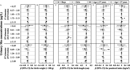 Figures 2A, 2B, and 2C are forest plots showing regression coefficients (95 percent confidence intervals) for birth weight (times 10 grams), birth length (centimeters), and ponderal index (kilograms per cubic meter), respectively, for adjusted associations of SG-adjusted urinary Mn concentrations (micrograms per liter) in the first (13.0 weeks), second (23.3 weeks), and third (37.8 weeks) trimester, stratified by infant sex (boys and girls) and maternal age (age less than or equal to 27 years and greater than 27 years) at recruitment.