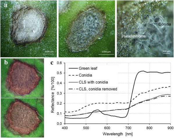 Fig. 9