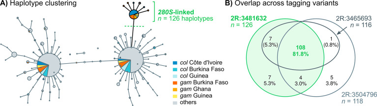 Fig 6