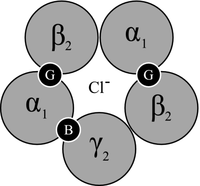 Fig. 5