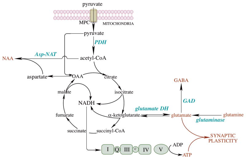 Fig. 3