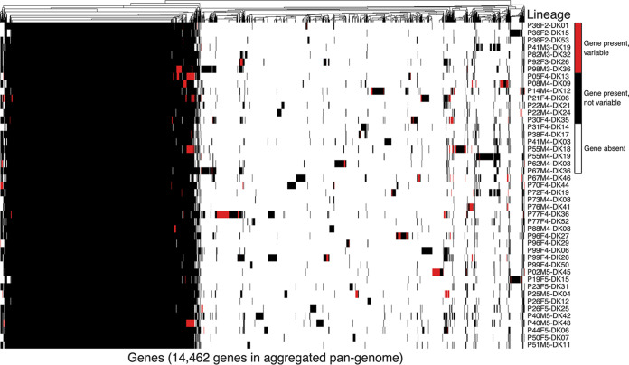 FIG 2