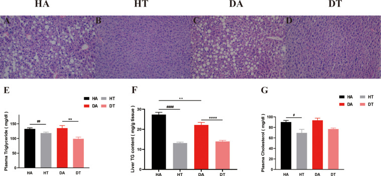 Figure 6