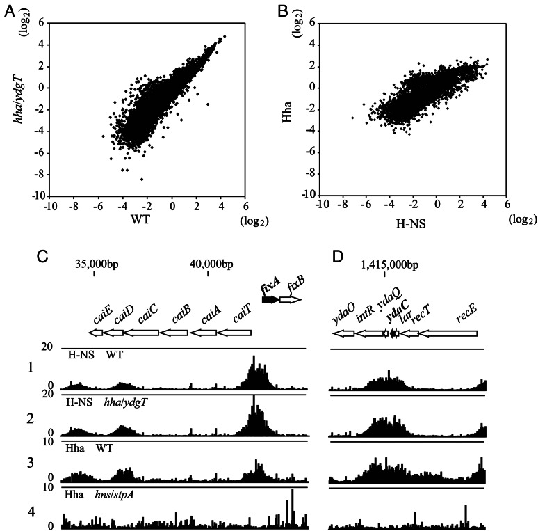 Figure 2.