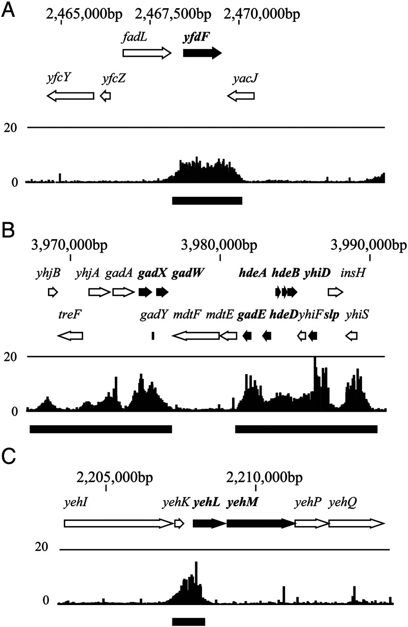 Figure 3.