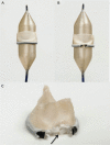 Figure 2: