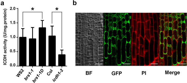 Fig. 7