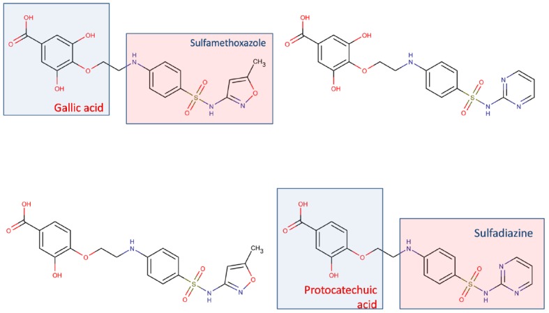 FIGURE 2