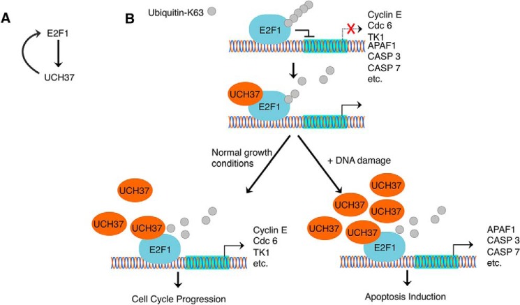 FIGURE 10.