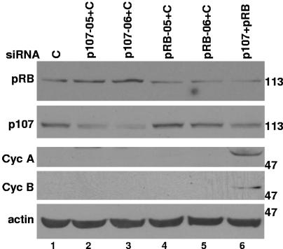 FIG. 9.